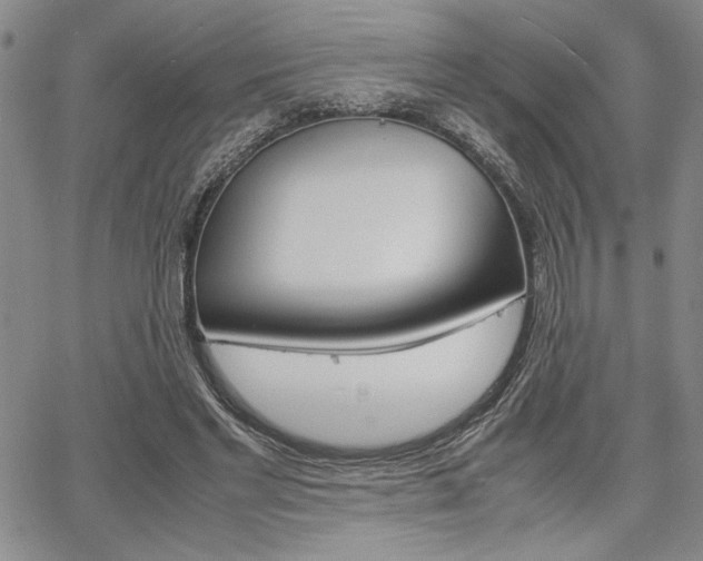 X0000067930493200604131110