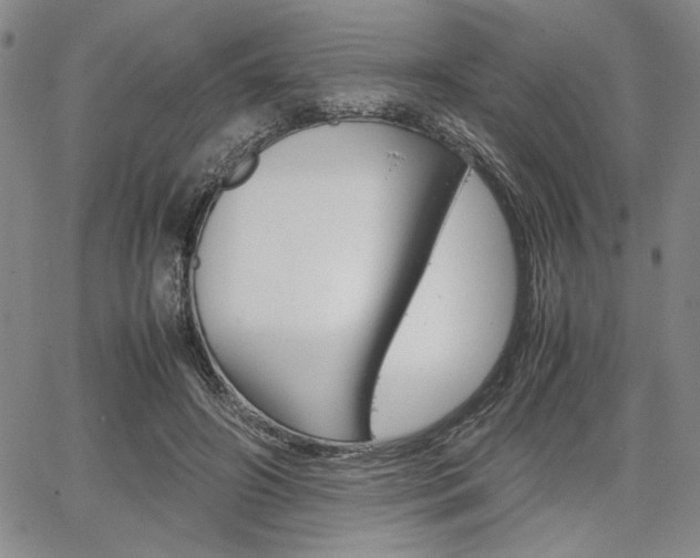 X0000067930498200604131110