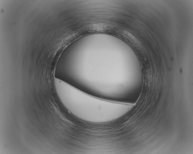 X0000067930500200604131110