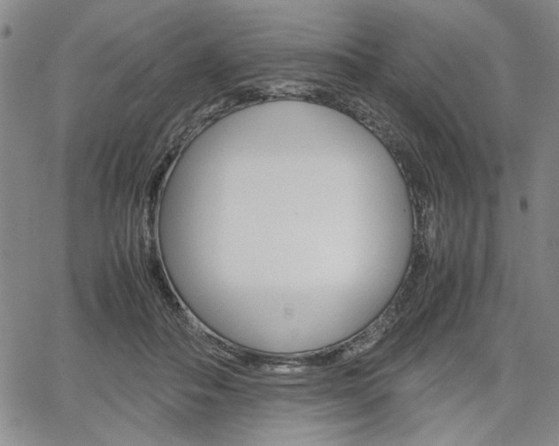 X0000067930506200604131109