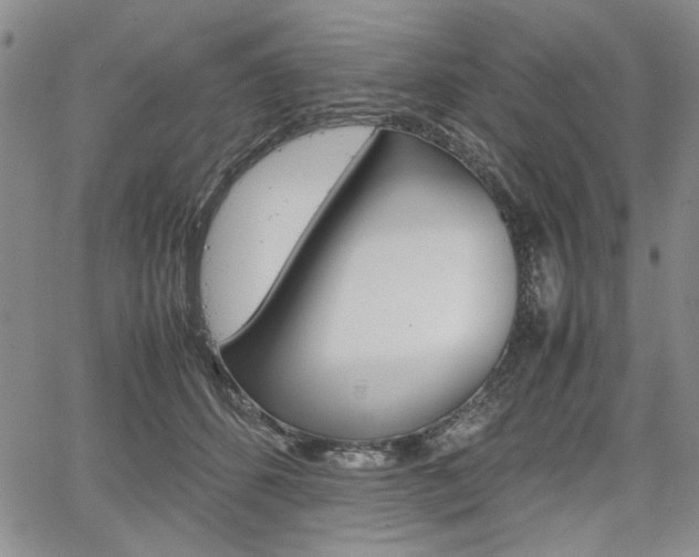 X0000067930512200604131109