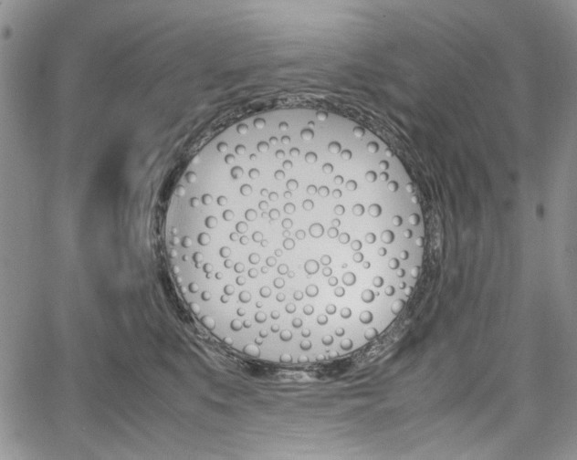 X0000067930519200604131109