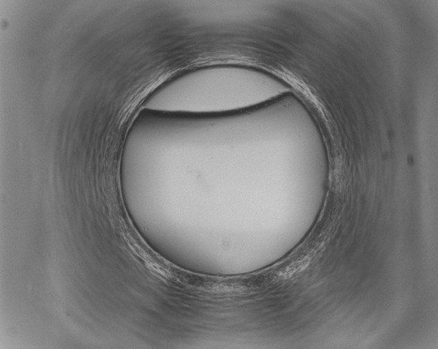 X0000067930529200604131108