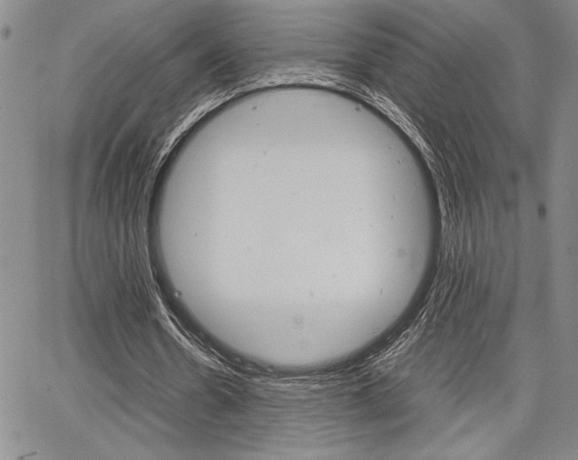 X0000067930530200604131108