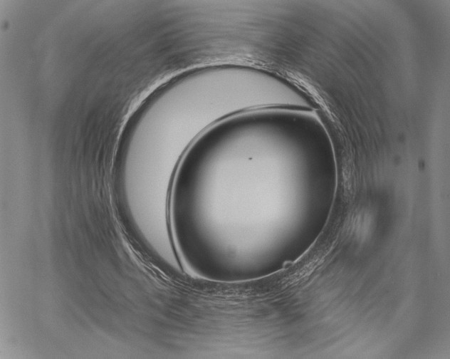 X0000067930532200604131108