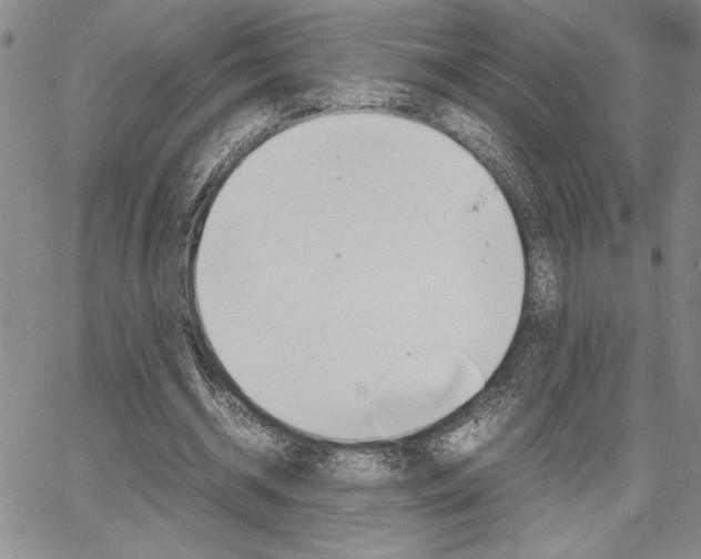 X0000067930534200604131108