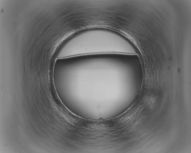 X0000067930535200604131108