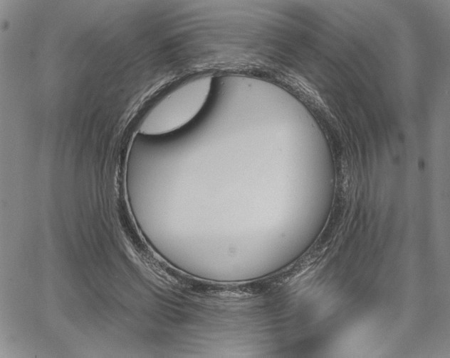 X0000067930542200604131109