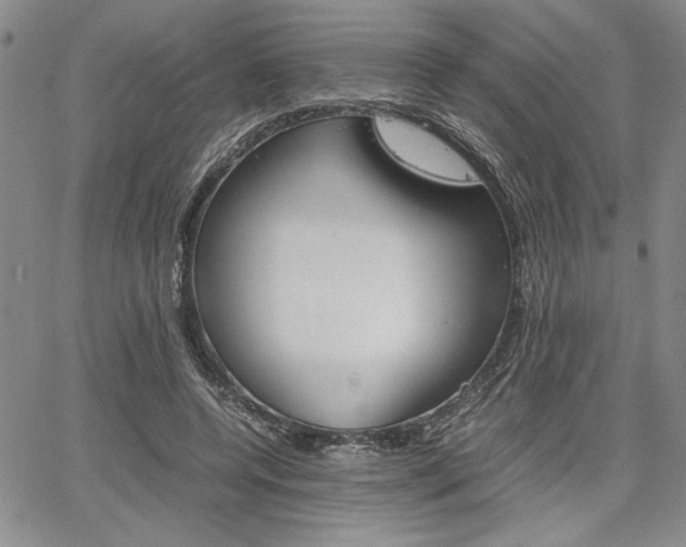 X0000067930544200604131109
