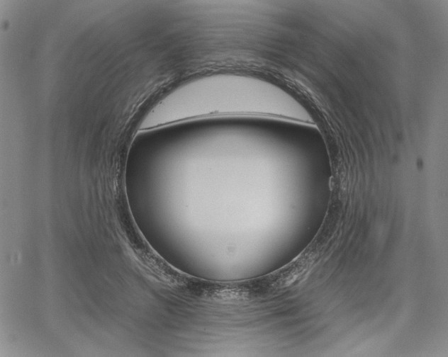 X0000067930546200604131109