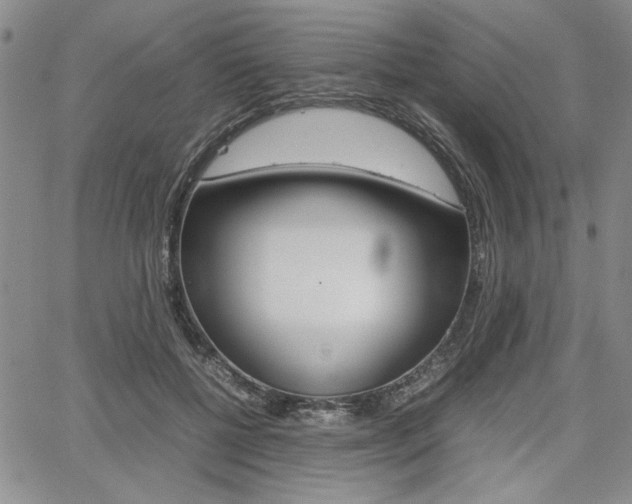 X0000067930552200604131109