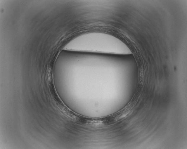 X0000067930554200604131109