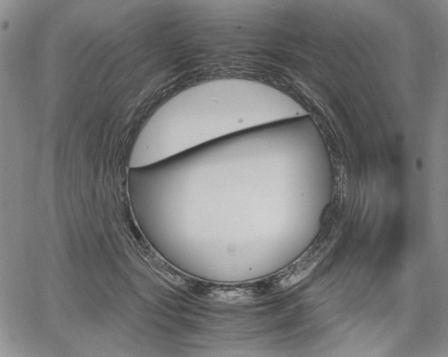 X0000067930557200604131109