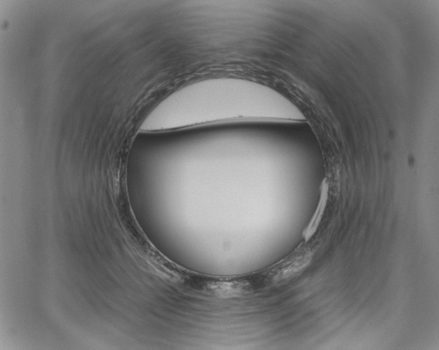 X0000067930558200604131109