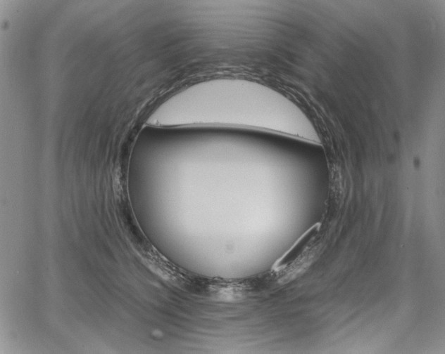 X0000067930564200604131109