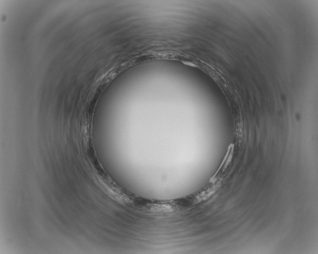 X0000067930572200604131109
