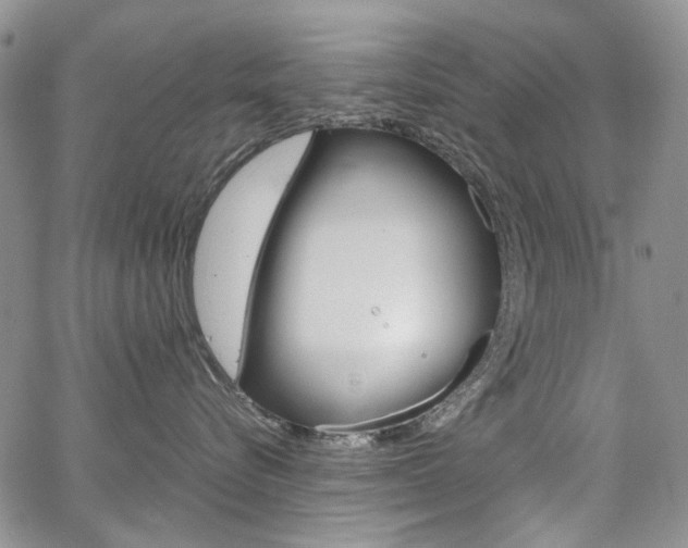 X0000067930576200604131109