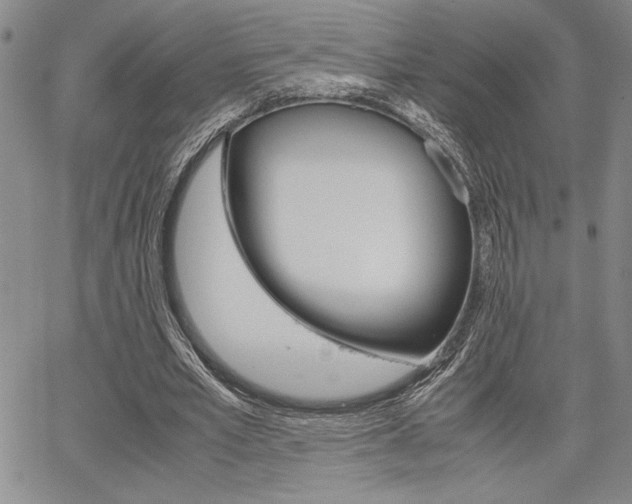 X0000067930581200604131108