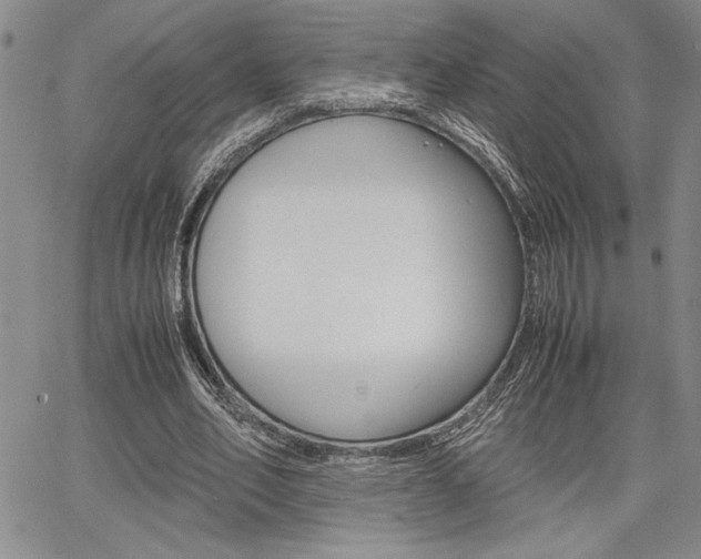 X0000067930582200604131108