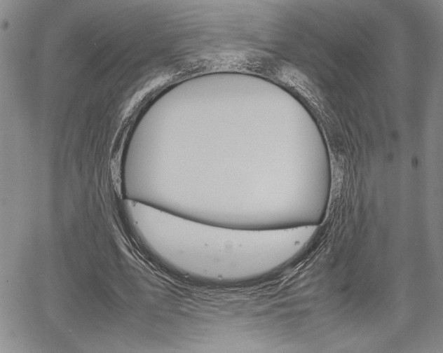 X0000067930583200604131108