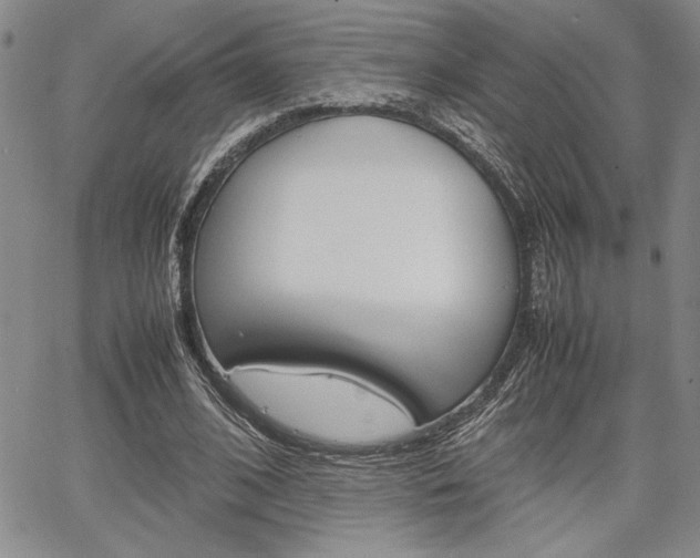 X0000067930584200604131108