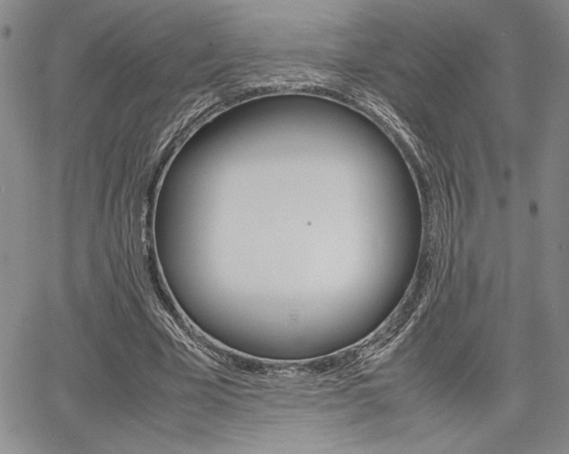 X0000067930585200604131108