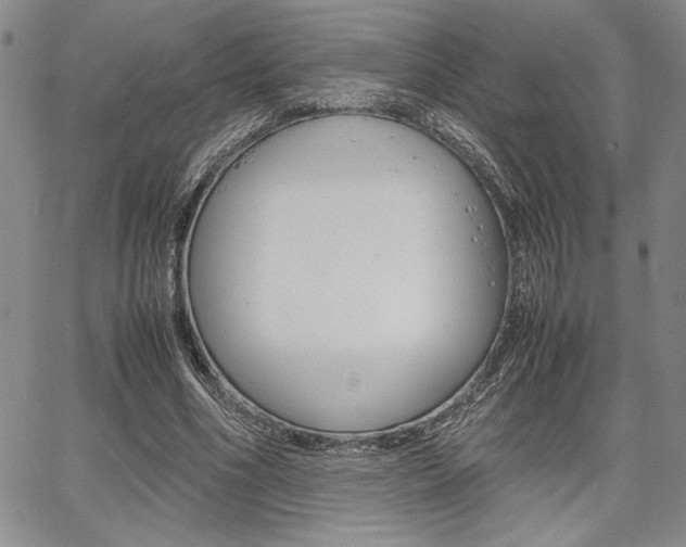 X0000067930586200604131108