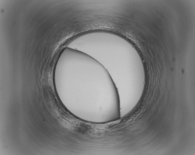 X0000067930587200604131108