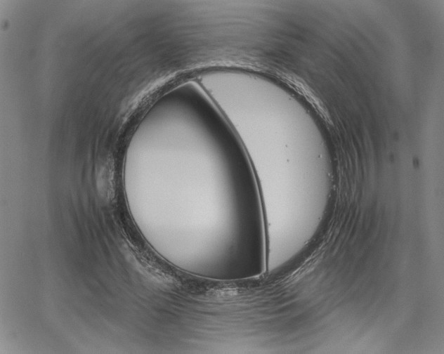 X0000067930588200604131108