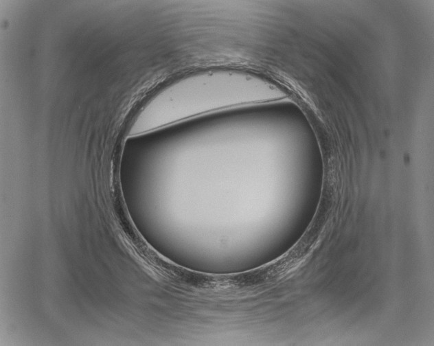 X0000067930589200604131108