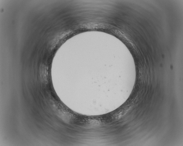 X0000067930592200604131108