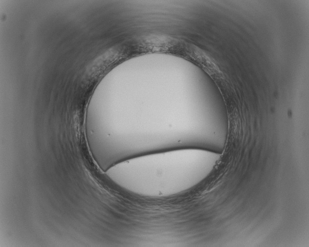 X0000067930594200604131108