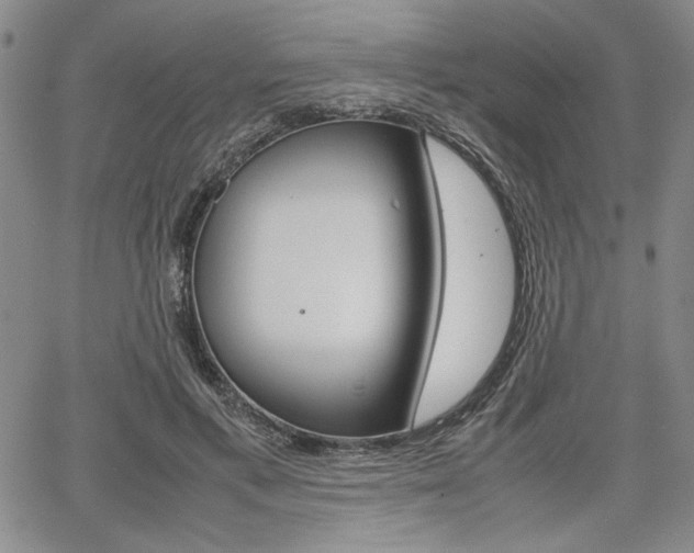 X0000067930597200604131108