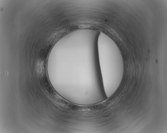 X0000067930598200604131108