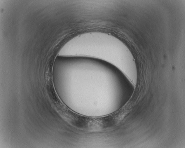 X0000067930599200604131108