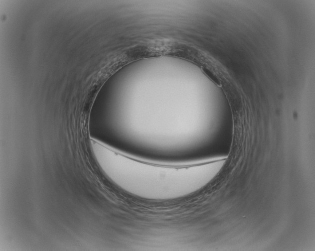 X0000067930601200604131108