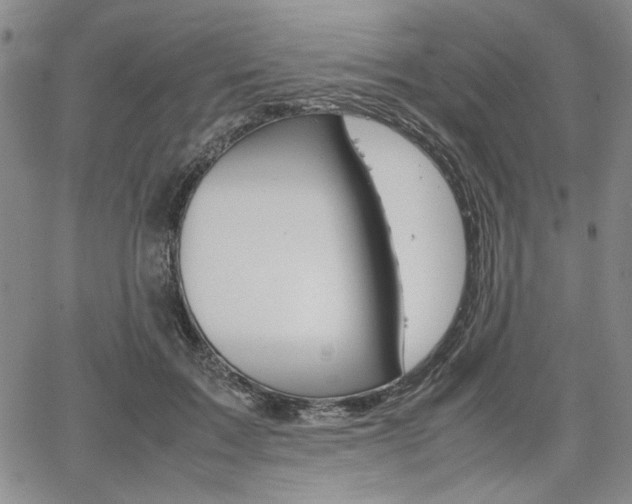 X0000067930603200604131108