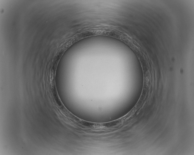 X0000067930605200604131108