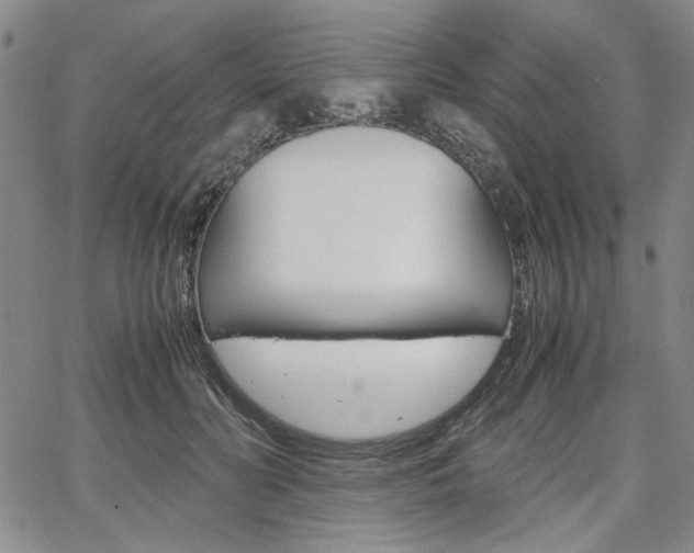 X0000067930606200604131108