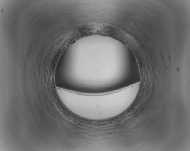 X0000067930607200604131108