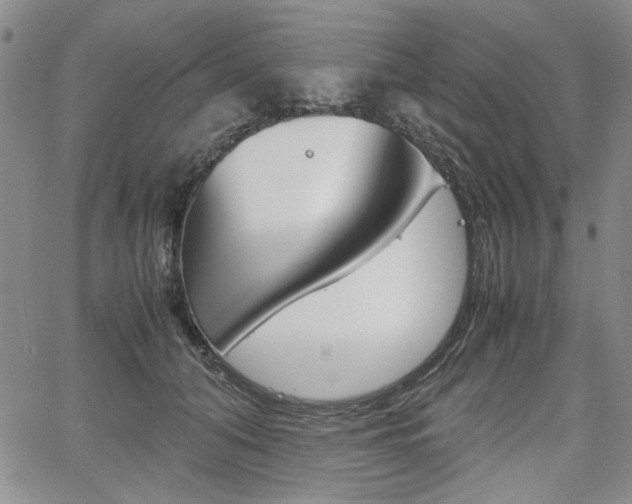 X0000067930608200604131108