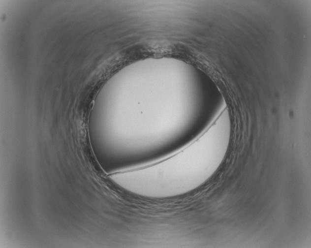 X0000067930609200604131108