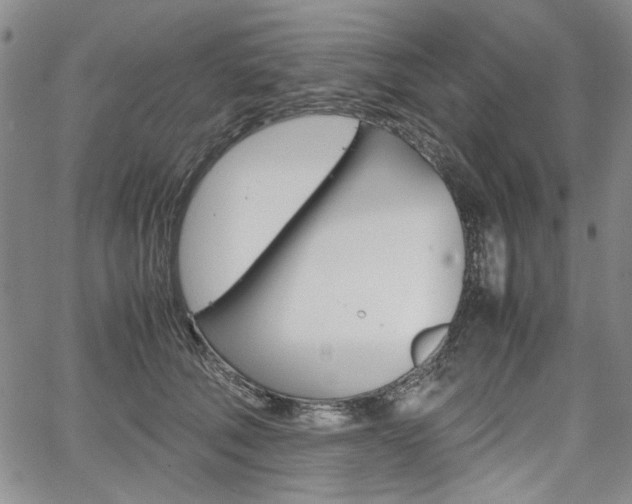 X0000067930610200604131108