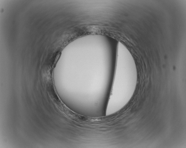 X0000067930611200604131108