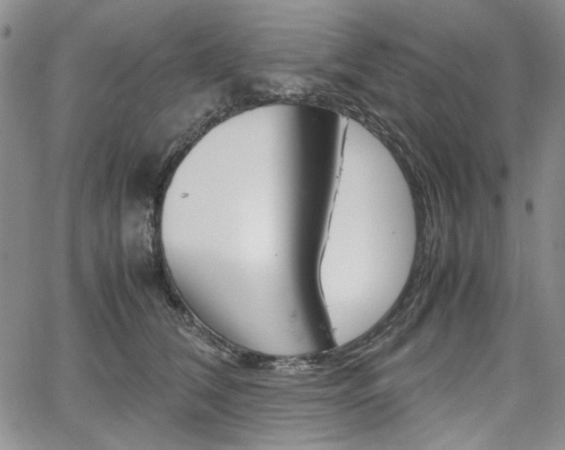 X0000067930612200604131108