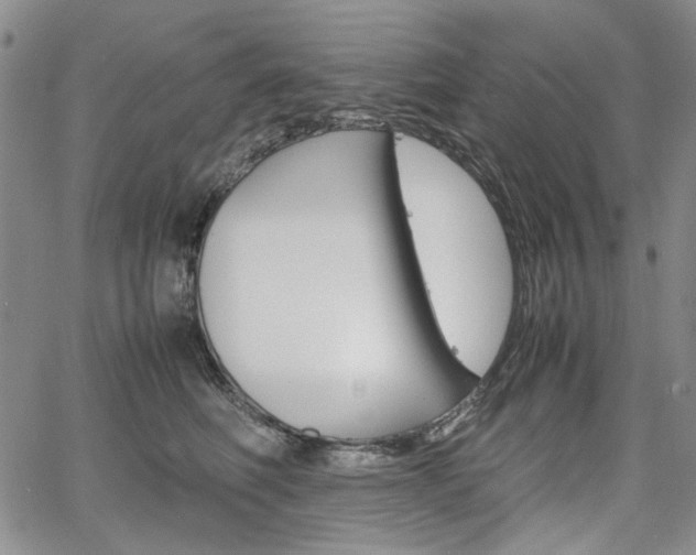 X0000067930614200604131108