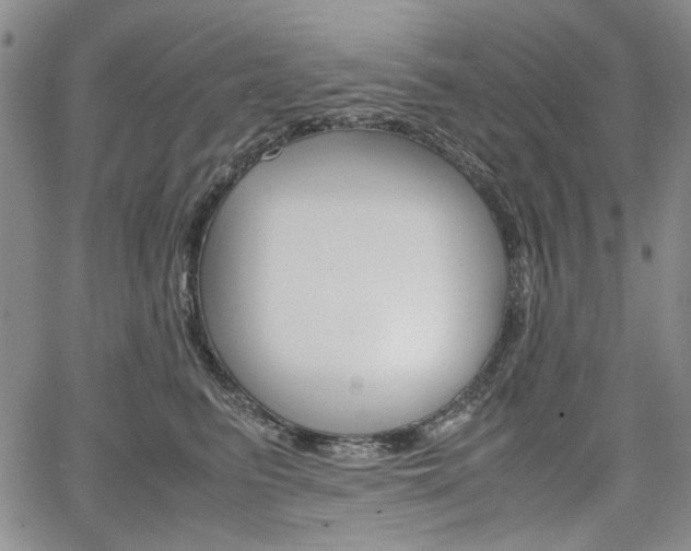 X0000067930615200604131108