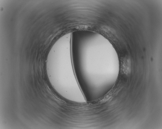 X0000067930616200604131108