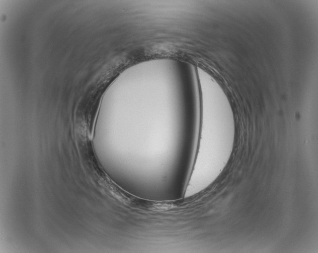 X0000067930617200604131108