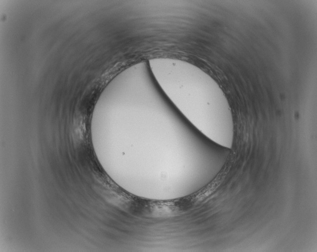 X0000067930618200604131108